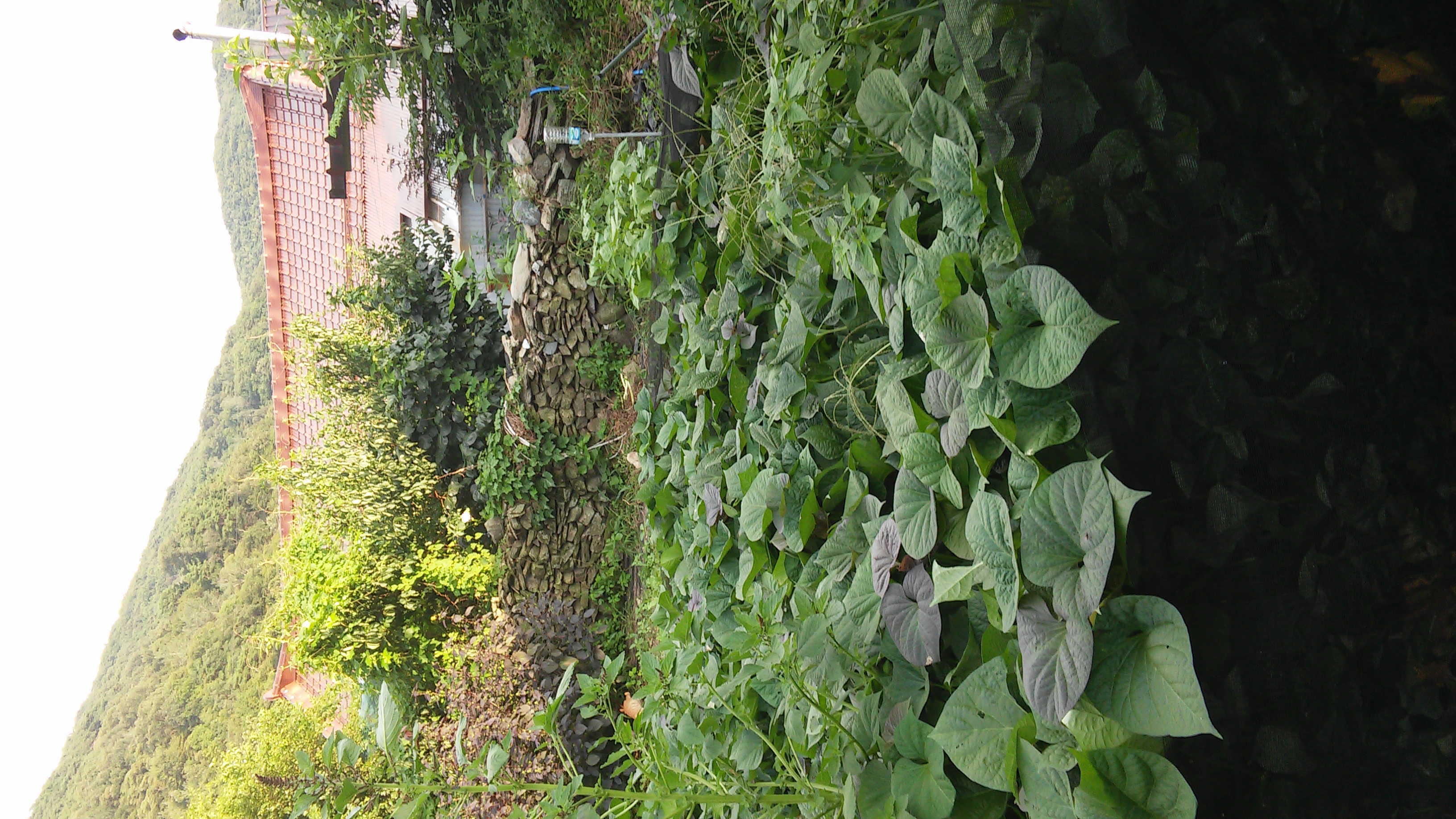 20190831_174358.jpg