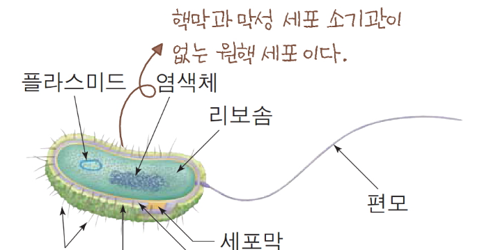 진정세균.PNG