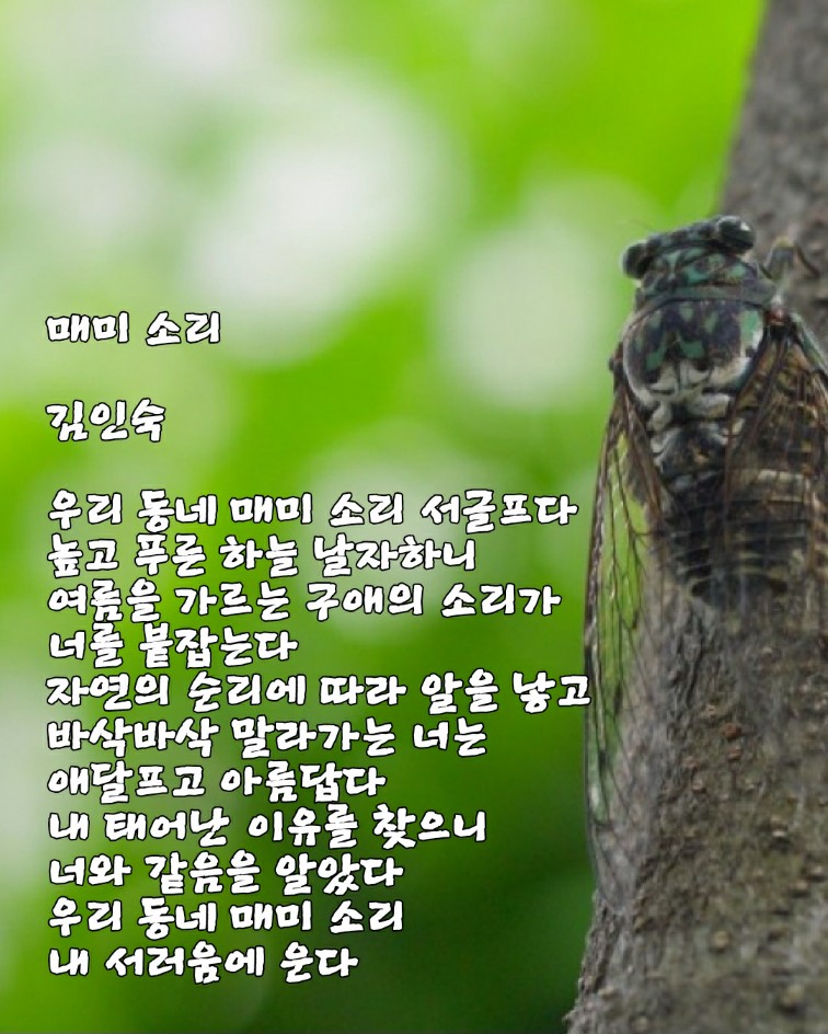 KakaoTalk_20230917_120200741.jpg