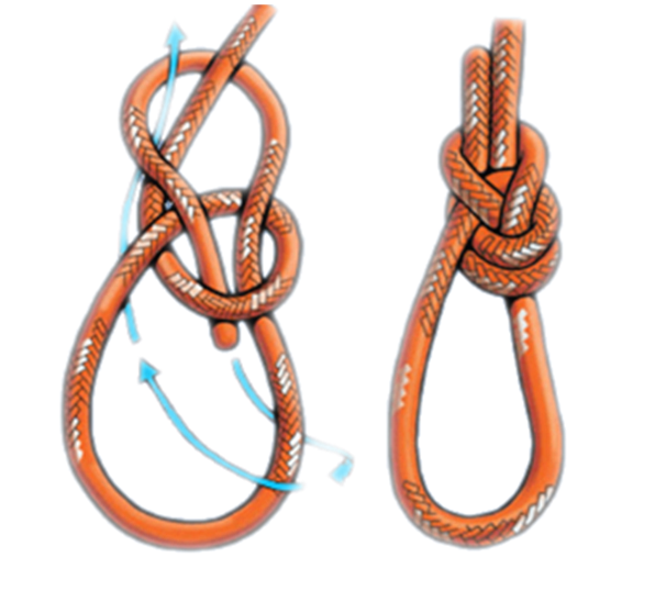 bowline.png